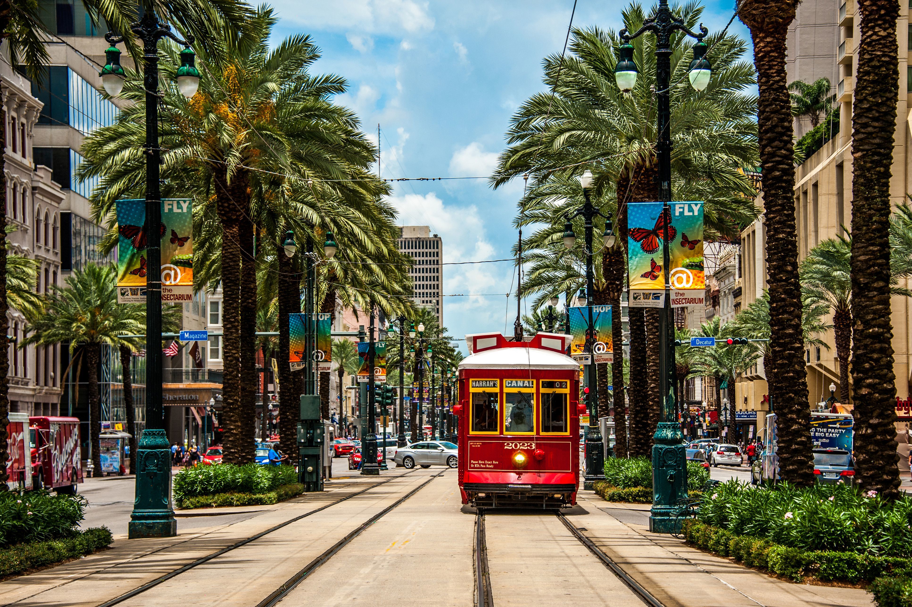 New orleans. Нью-Орлеан, Луизиана. Новый Орлеан Луизиана США. Новый Орлеан город. Северная Америка новый Орлеан.